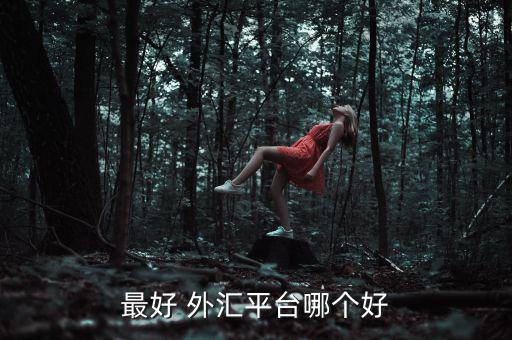 最好 外匯平臺(tái)哪個(gè)好