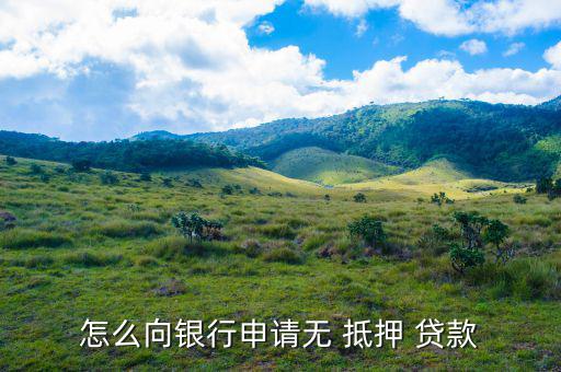 免抵押貸款是怎么貸,抵押貸款、擔(dān)保貸款一般略高于-0貸款