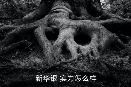 新華銀實力怎么樣,白銀知多少?問與答（12）
