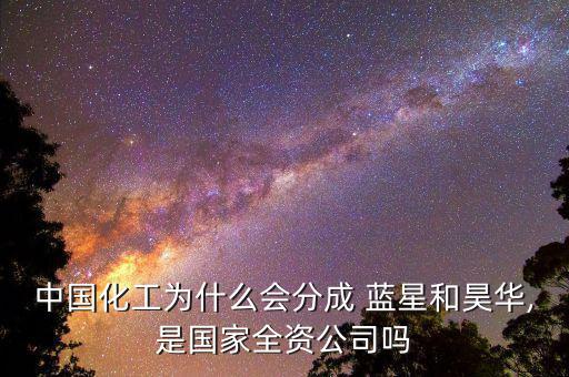 藍星安迪蘇怎么樣,藍星公司從默克爾到?？?、挪威三家公司