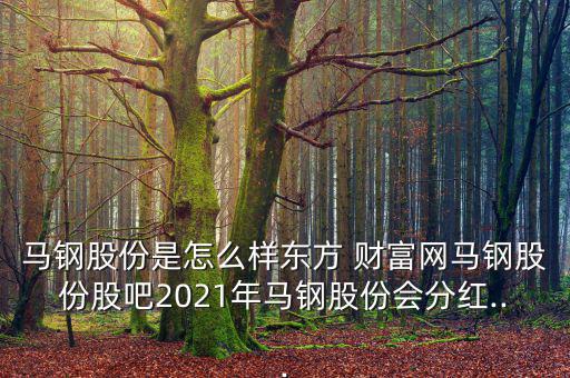 馬鋼股份是怎么樣?xùn)|方 財(cái)富網(wǎng)馬鋼股份股吧2021年馬鋼股份會分紅...