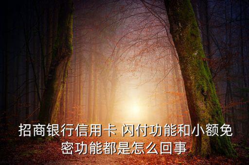 招商銀行閃付怎么開(kāi)通,如何開(kāi)通銀聯(lián)閃付?