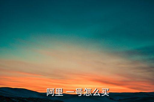 阿里一號怎么購買,新華-1一號保本基金只保本不承諾收益