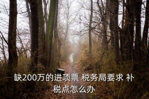 缺200萬的進(jìn)項票 稅務(wù)局要求 補(bǔ)稅點(diǎn)怎么辦