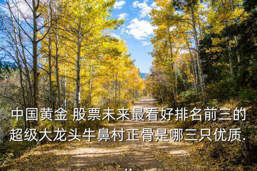 中國黃金 股票未來最看好排名前三的超級大龍頭牛鼻村正骨是哪三只優(yōu)質...