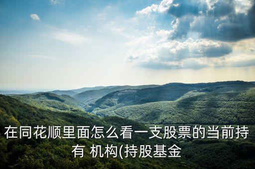 在同花順里面怎么看一支股票的當前持有 機構(持股基金