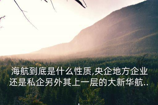 海航商業(yè)控股怎么樣,海航group為民營(yíng)企業(yè)并非大股東