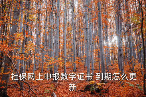龍灣社保登記證到期怎么更換,社?？ㄟ^期怎么辦?可以這樣做!