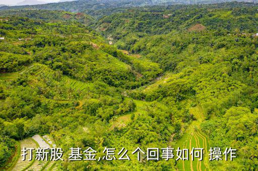 基金申購怎么操作,新股基金投資標(biāo)的有三個