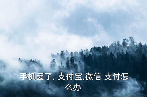 手機丟了支付寶錢包怎么辦,手機掉線怎么辦?別慌!
