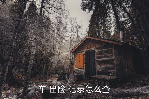 怎么查車險出險記錄,保險公司新功能有哪些?