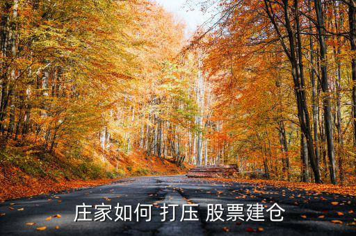 莊家怎么打壓股票,股價為什么會漲這么多?