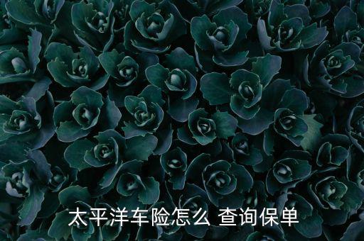  太平洋車險(xiǎn)怎么 查詢保單