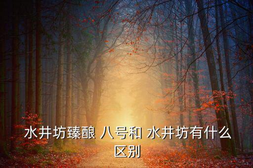 水井臻釀八號怎么樣,五糧液貴嗎?水井方:比較合適!