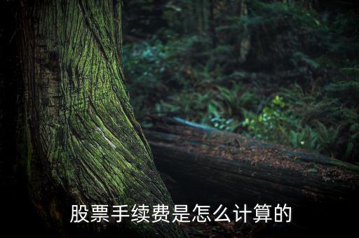 股票的過戶費怎么算,股票過戶費用4月28日整體下調(diào)