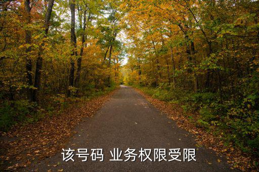 業(yè)務(wù)限制怎么辦,手機流量怎么辦?別慌!