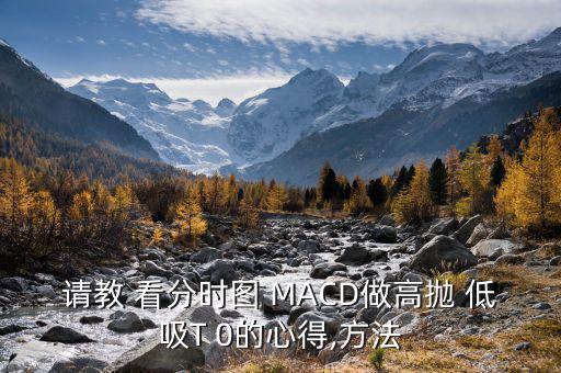 請教 看分時圖 MACD做高拋 低吸T 0的心得,方法