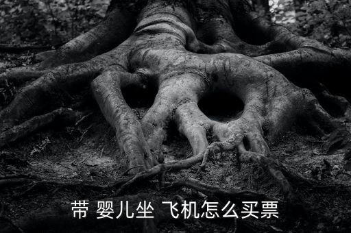 帶 嬰兒坐 飛機怎么買票