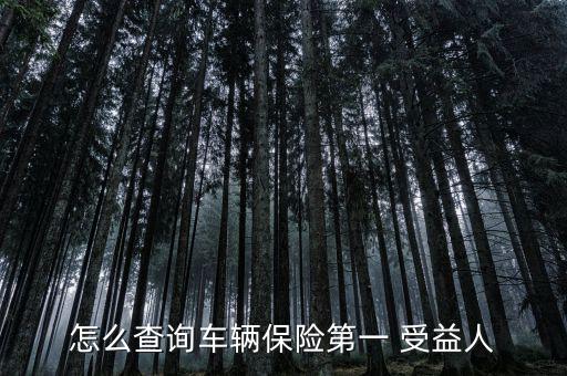 車貸保險寫的我受益人怎么辦,保險單首受益人一般是車主本人