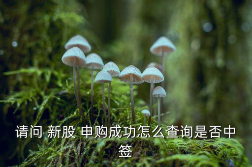 怎么確定新股申購(gòu)成功,點(diǎn)擊-查詢新股申購(gòu)頁(yè)面再點(diǎn)擊