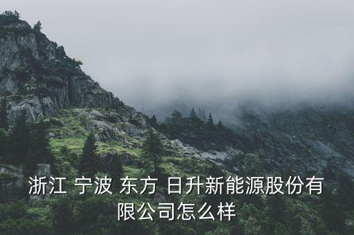 寧波東方日升怎么樣,東方日升進(jìn)出口有限公司注冊證明文件下架
