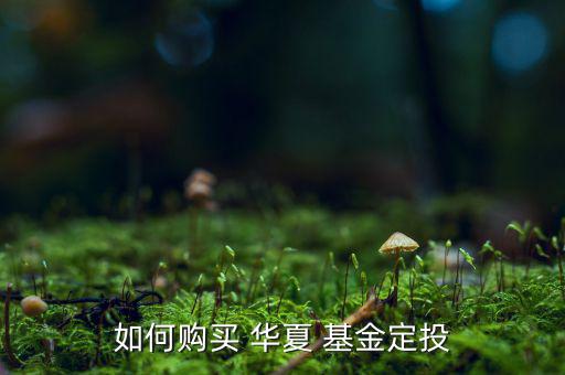 華夏基金開戶怎么填,第一章:理財(cái)攻略（一）