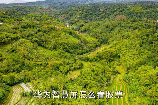 炒股怎么看界面,如何安裝華為手機(jī)應(yīng)用市場(chǎng)?