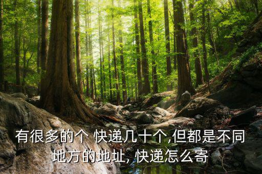 有很多的個 快遞幾十個,但都是不同地方的地址, 快遞怎么寄