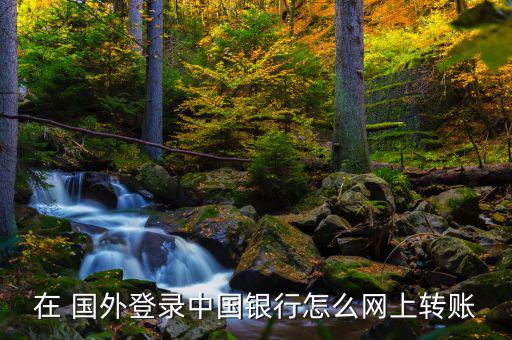 在國外怎么用網(wǎng)銀,網(wǎng)上銀行是一個二級概念網(wǎng)上轉賬方式