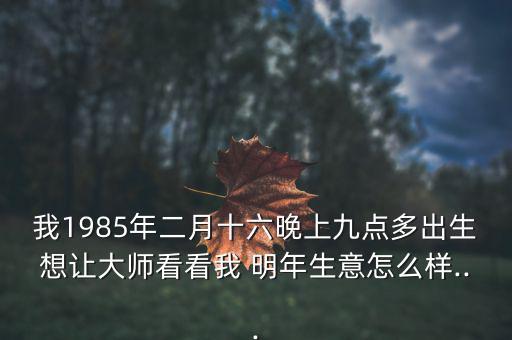 我1985年二月十六晚上九點多出生想讓大師看看我 明年生意怎么樣...