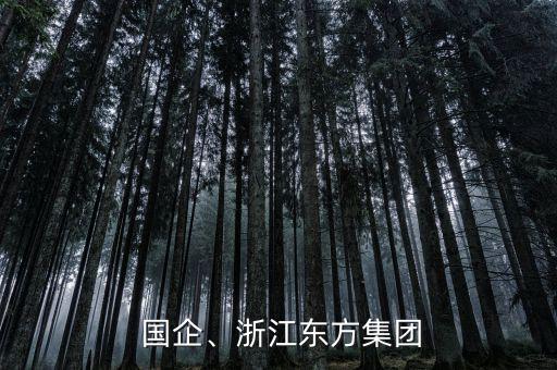 國企做外貿(mào)怎么樣,前進(jìn)黨第二批準(zhǔn)候選人包括銀行高管和律師