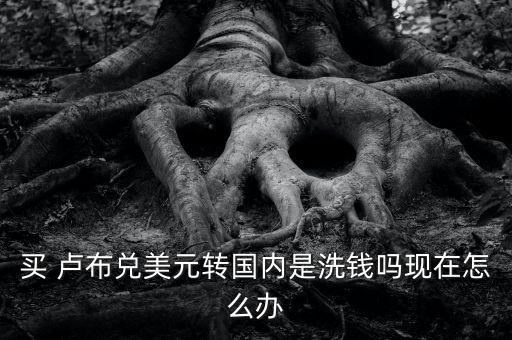 買 盧布兌美元轉(zhuǎn)國(guó)內(nèi)是洗錢嗎現(xiàn)在怎么辦