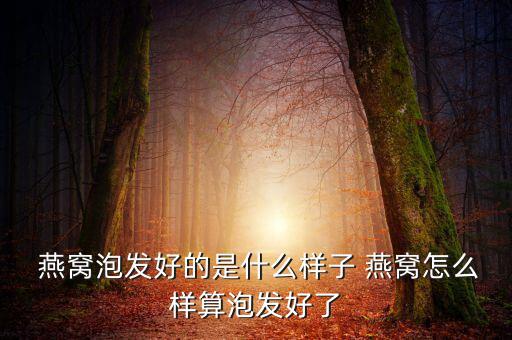鷹皇燕窩怎么樣,燕窩的密、細(xì)、疏