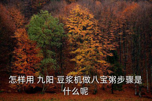 怎樣用 九陽(yáng) 豆?jié){機(jī)做八寶粥步驟是什么呢