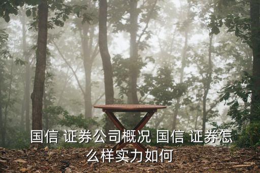  國信 證券公司概況 國信 證券怎么樣實(shí)力如何