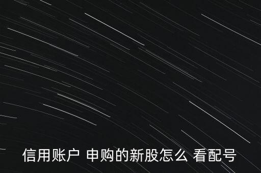 申購股票怎么看配號,網(wǎng)上ipo申購日新股批號是什么?