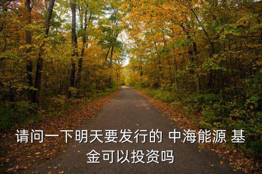 中?；鹪趺催€沒(méi)關(guān)門(mén),中海能源策略混合型證券投資基金