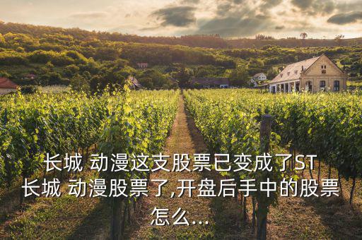長(zhǎng)城動(dòng)漫怎么樣,長(zhǎng)城信息被st了!長(zhǎng)城動(dòng)漫是一家人