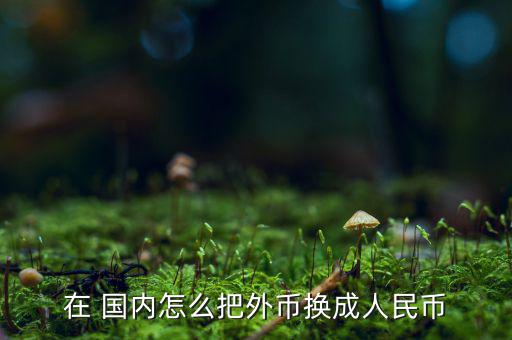 國(guó)內(nèi)怎么換新西蘭元,中國(guó)銀行提供兌換外幣咨詢服務(wù)