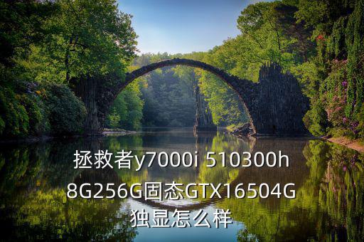 拯救者y7000i 510300h8G256G固態(tài)GTX16504G獨顯怎么樣