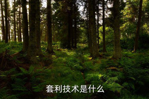  套利技術是什么