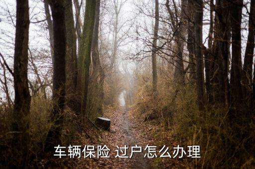 汽車(chē)保險(xiǎn)過(guò)戶(hù)怎么辦,二手車(chē)過(guò)戶(hù)注意事項(xiàng)一文讀懂!