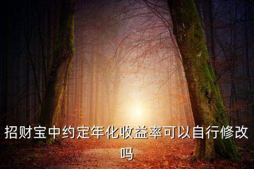 招財(cái)寶修改收益率是什么意思，招財(cái)寶中約定年化收益率可以自行修改嗎