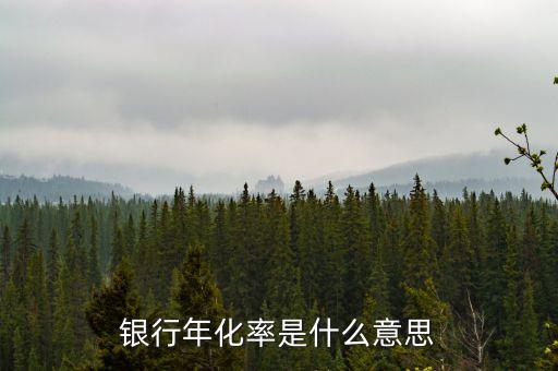 銀行年化率是什么意思