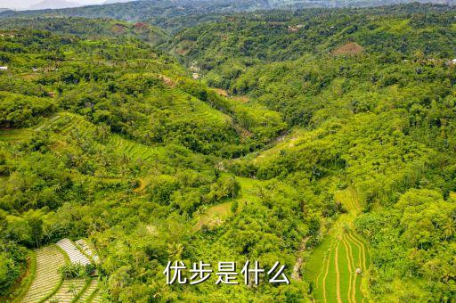 優(yōu)步滬郊短駁是什么，我的車符合UBER高級轎車為什么是人民優(yōu)步的價(jià)格