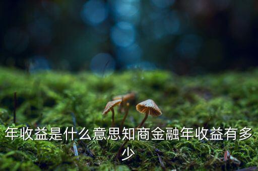 資金占用年收益是什么意思，利息支出中有個(gè)資金占用費(fèi)這個(gè)是什么意思