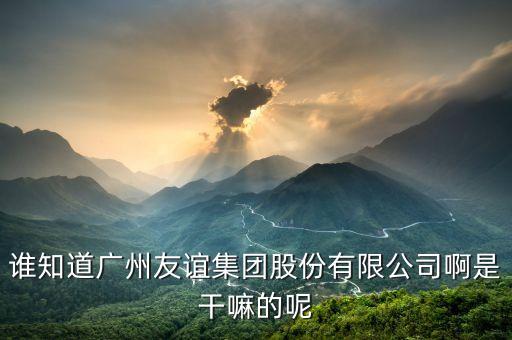 廣州友誼是做什么的，誰知道廣州友誼集團(tuán)股份有限公司啊是干嘛的呢