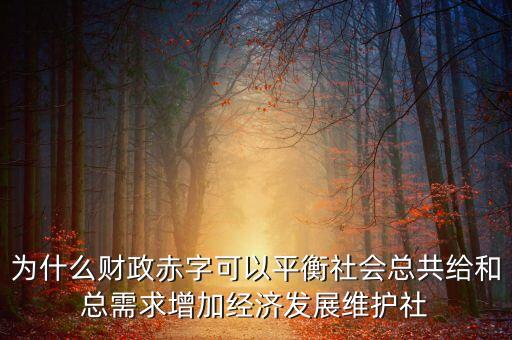 為什么財(cái)政赤字可以平衡社會(huì)總共給和總需求增加經(jīng)濟(jì)發(fā)展維護(hù)社