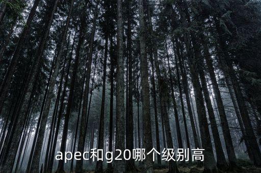 國際貿(mào)易額由什么組成，國際貿(mào)易額和對外貿(mào)易額兩者的區(qū)別