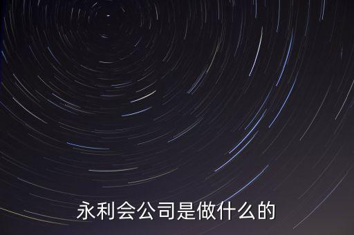 永利控股是什么企業(yè)，永利會(huì)公司是做什么的